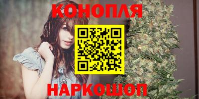 шишки Можайск