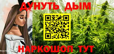 кокс Моздок