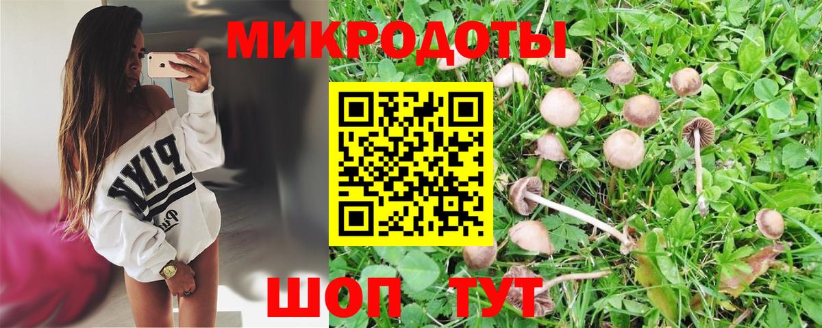 Псилоцибиновые грибы GOLDEN TEACHER  Вход с VPN  закладка  Псилоцибиновые грибы Psilocybine cubensis  Тольятти 